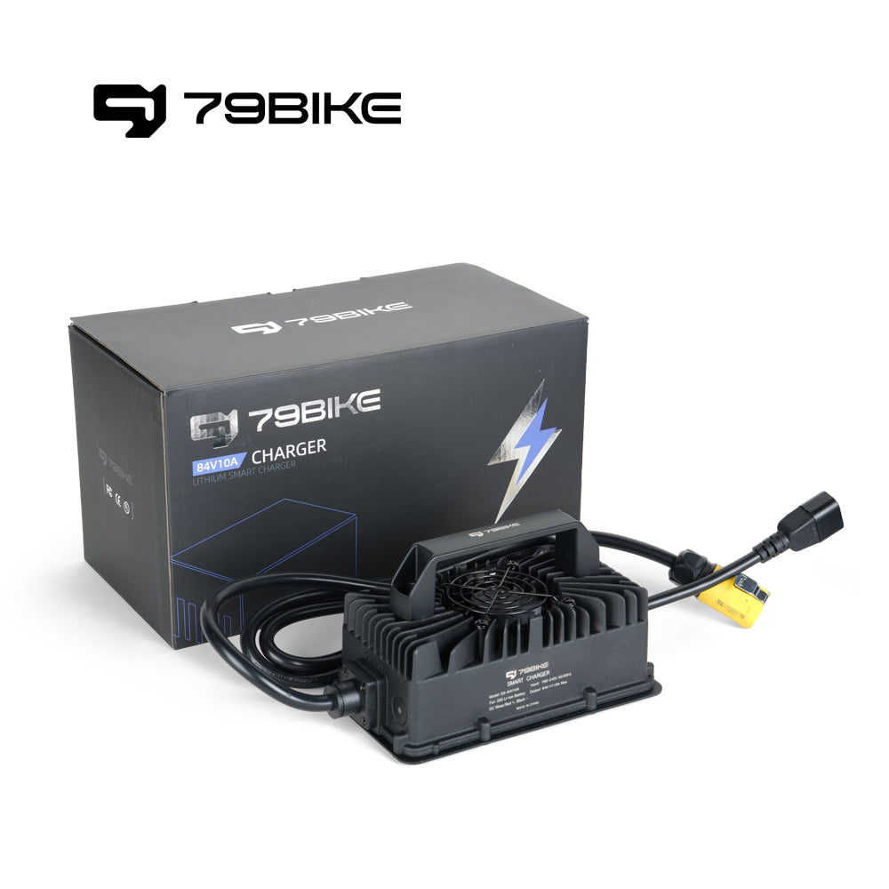 79Bike Battery Charger product image 1