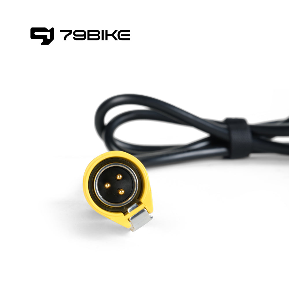 79Bike Battery Charger product image 3