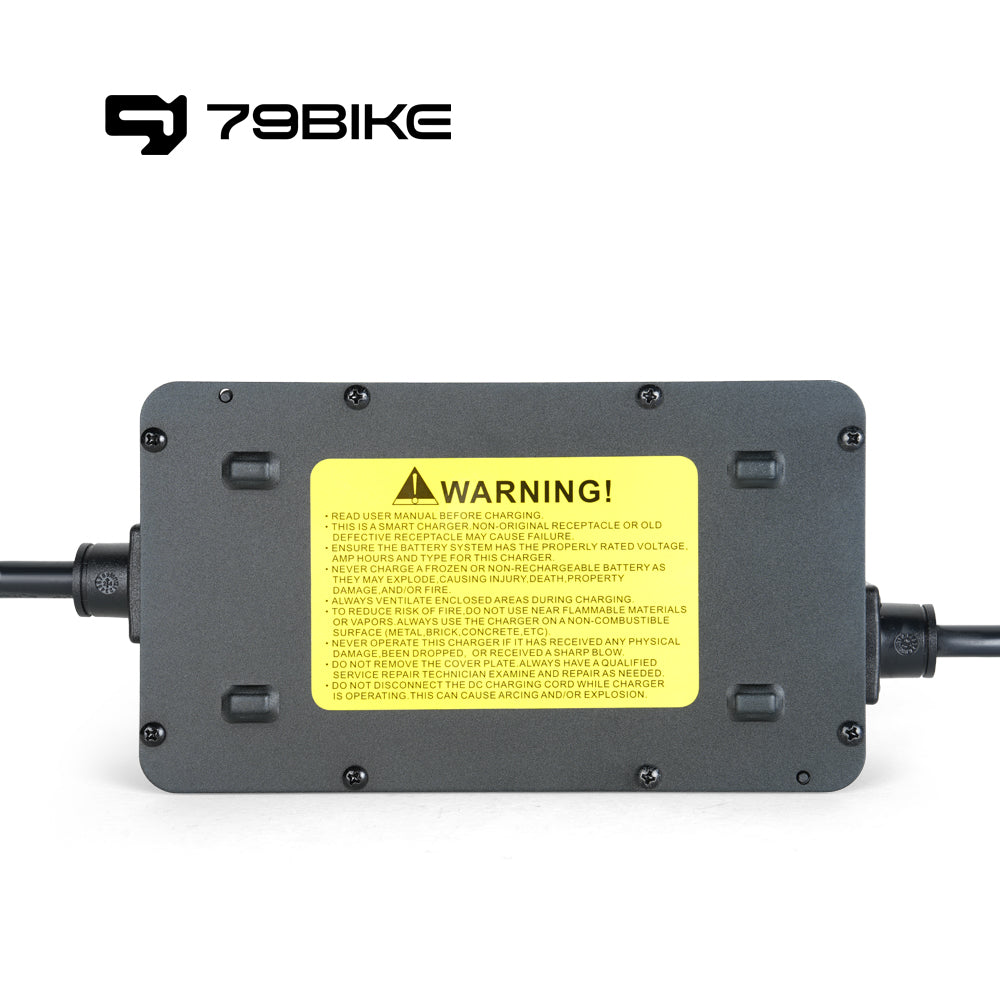 79Bike Battery Charger product image 4