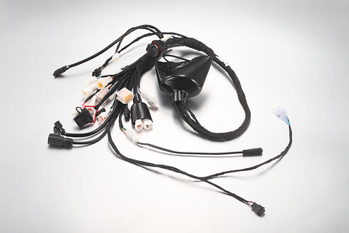 E Ride Pro E7606 - main wiring harness