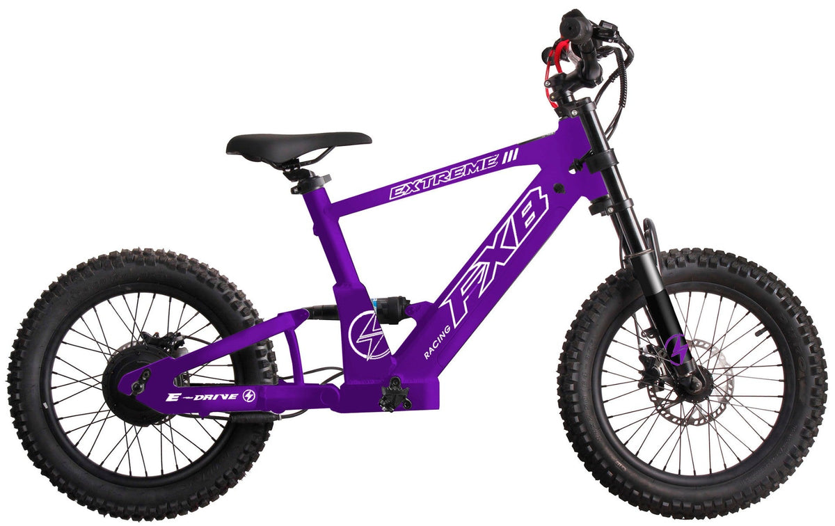 FXB06-20 Extreme III - Electric Racing Bike