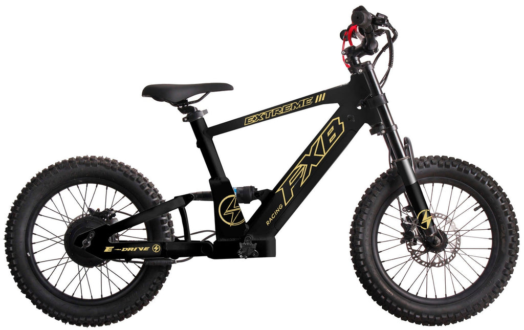 FXB06-20 Extreme III - Electric Racing Bike