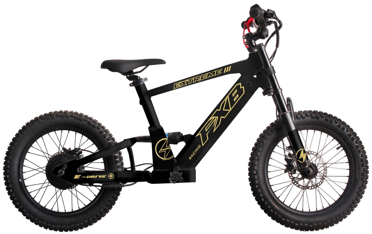 FXB06-20 Extreme III - Electric Racing Bike