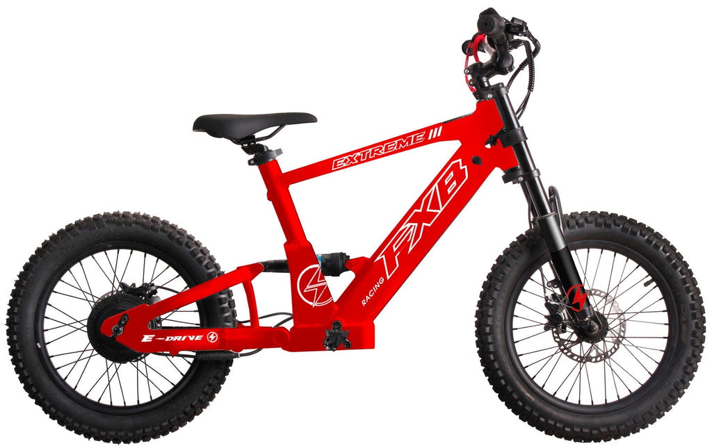FXB06-20 Extreme III - Electric Racing Bike