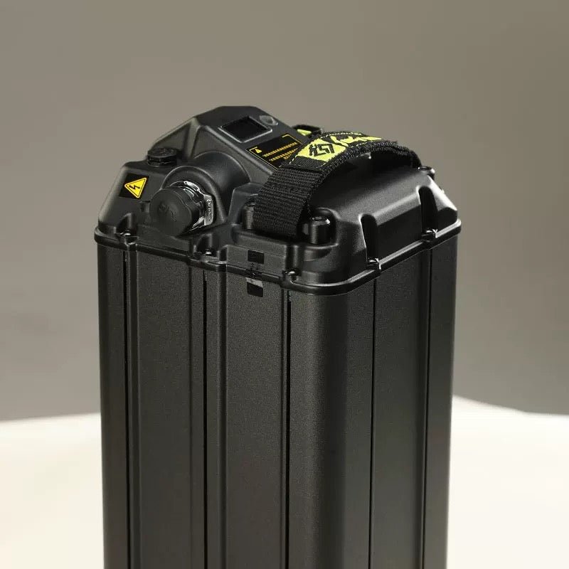 Surron Light Bee S Lithium Battery (48V/20Ah), image 2