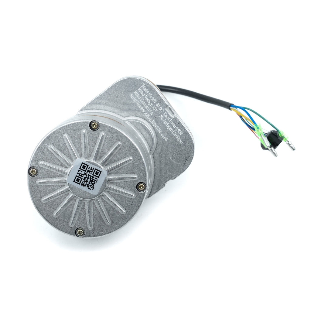 RFN Warrior 250 Motor