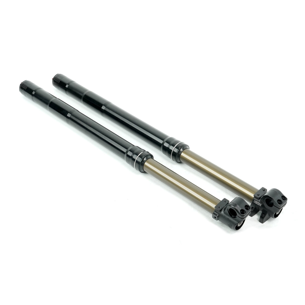RFN Ares Suspension Fork Assembly