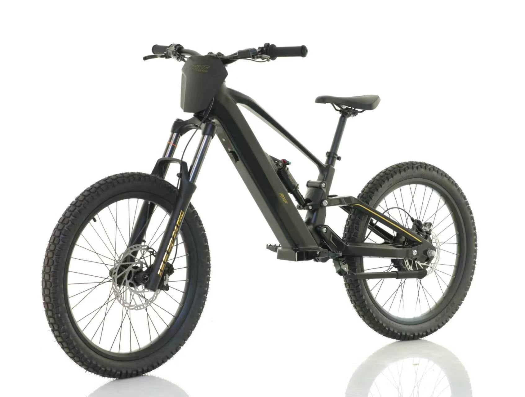 RXF ZIP 24" KIDS ELECTRIC BIKE
