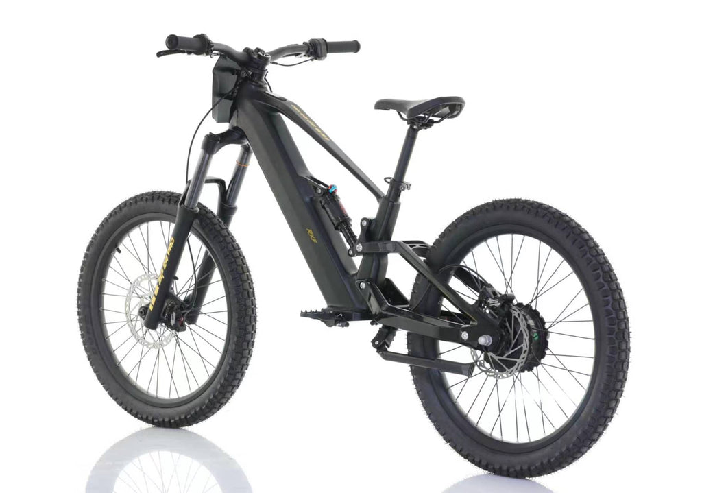 RXF ZIP 24" KIDS ELECTRIC BIKE