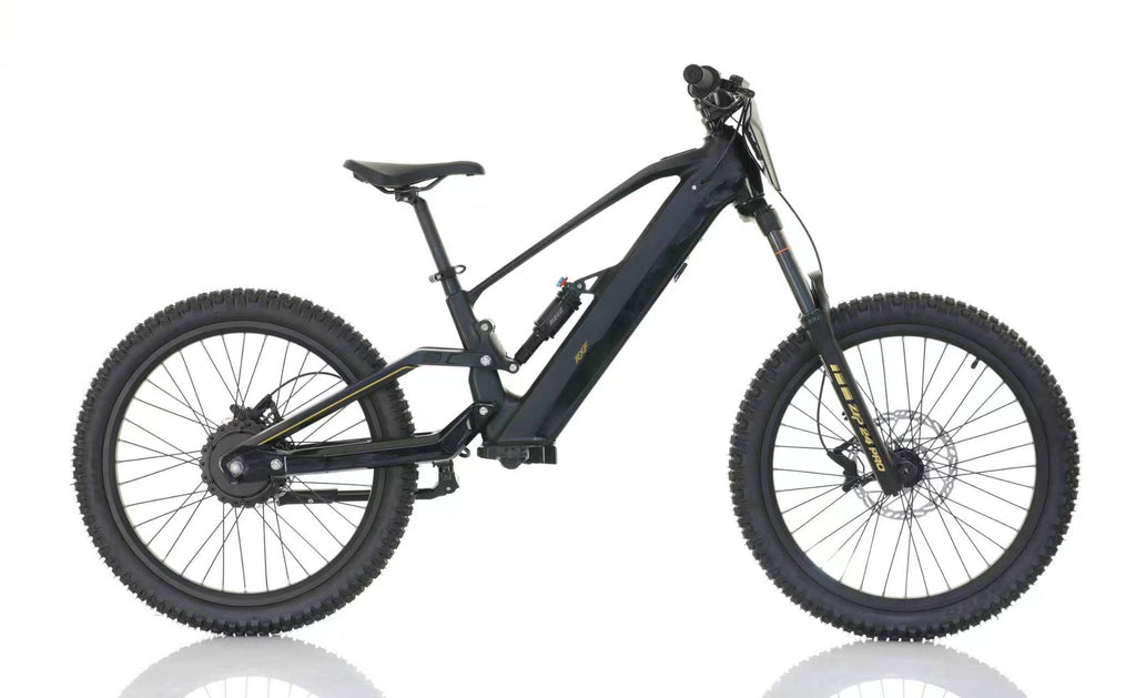 RXF ZIP 24" KIDS ELECTRIC BIKE