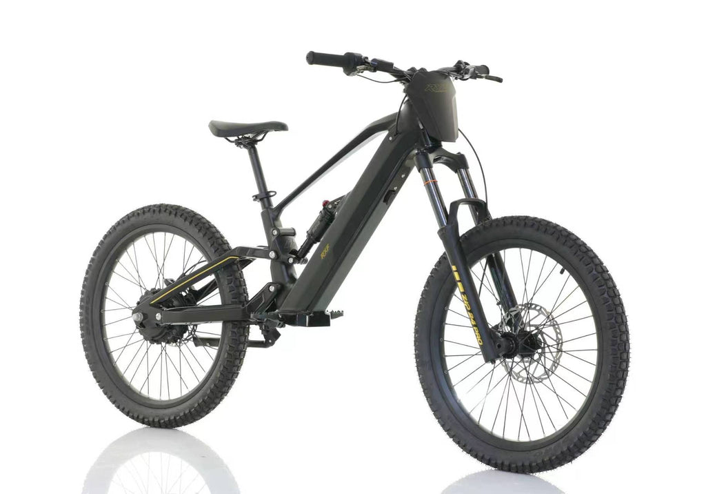 RXF ZIP 24" KIDS ELECTRIC BIKE