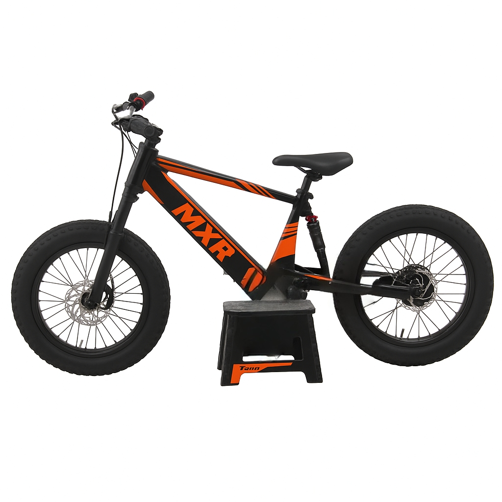 MXR KIDS 24'' ELECTRIC BIKE MXREV-24⚡⚡⚡