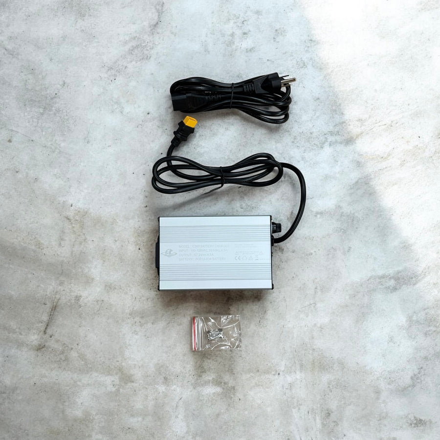 E&C 60v 4.5A Charger Lite / Rizzler