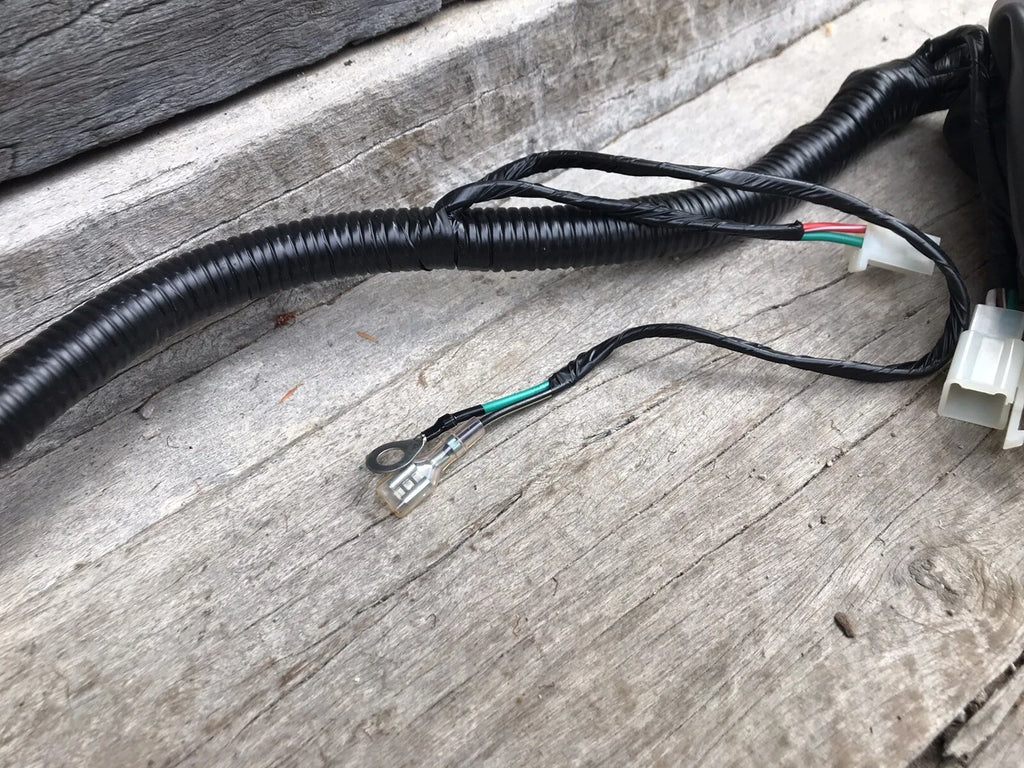 Atomik Krusher 250cc Wiring Loom 307000-087