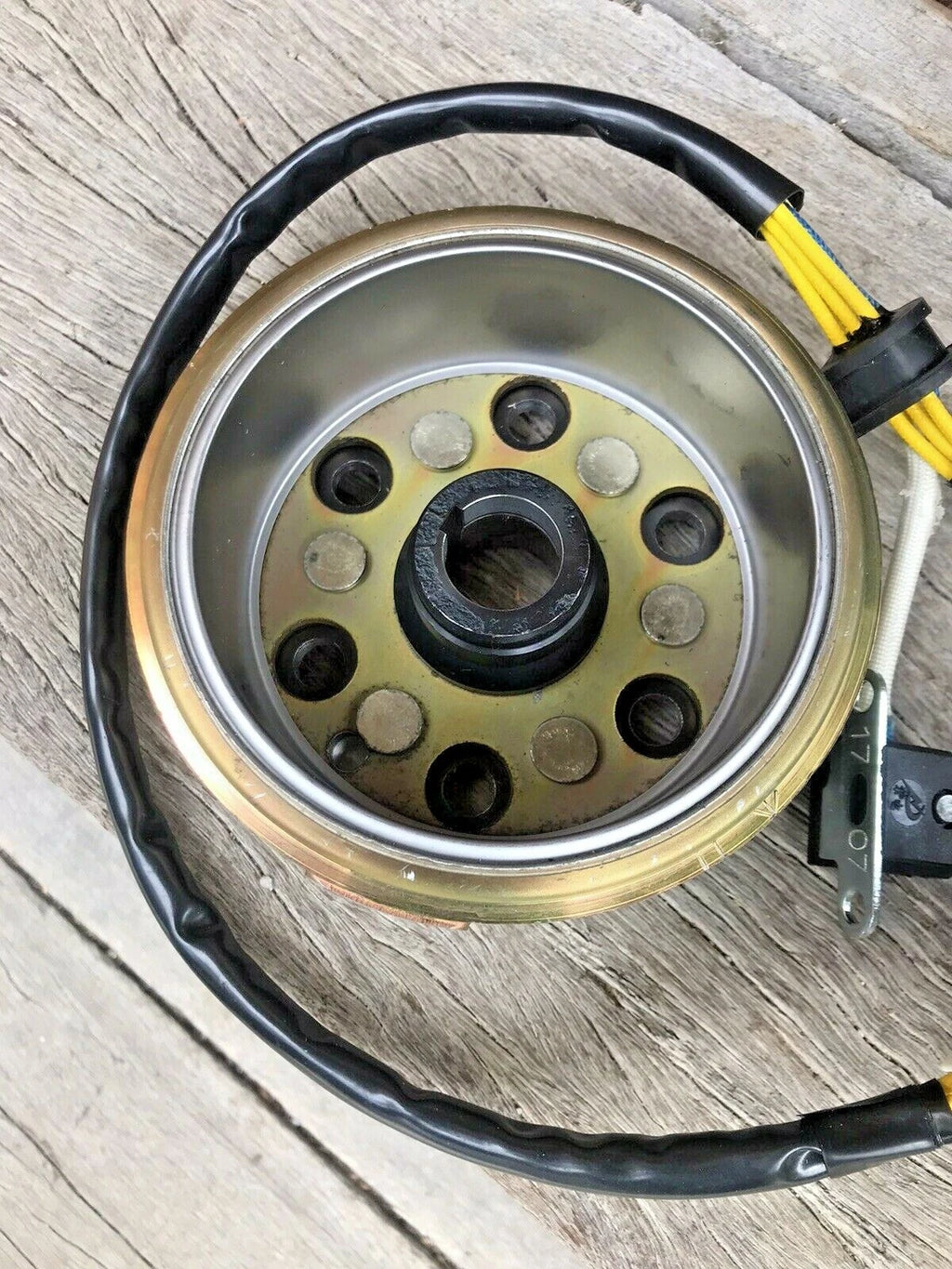 Atomik Krusher 300cc Magnetic Magneto Stator Coil Rotor 2.1.01.2060 2.1.01.2020