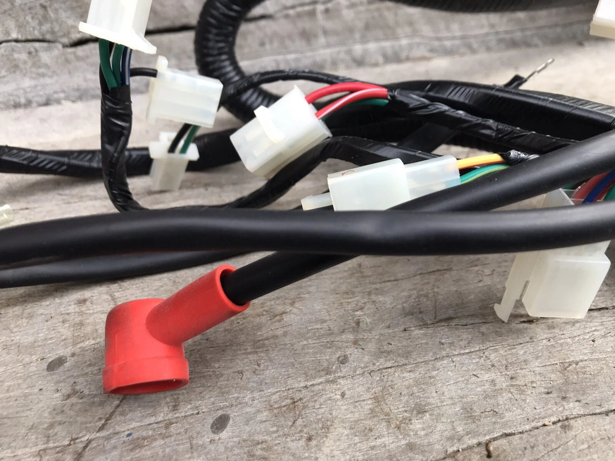 Atomik Krusher 250cc Wiring Loom 307000-087