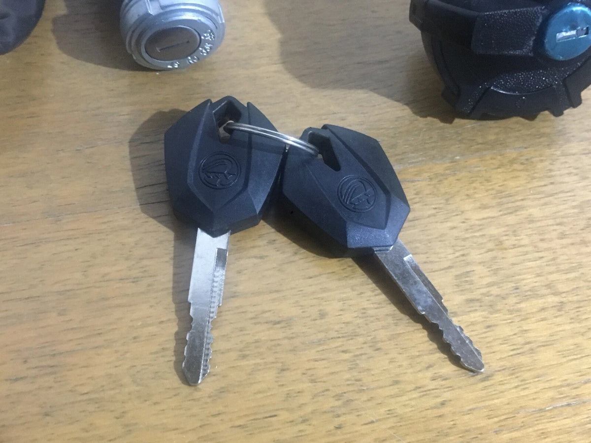 Atomik ATX300 300cc Ignition Switch Lock & Lockable Fuel Cap set 2 keys 4 wire.