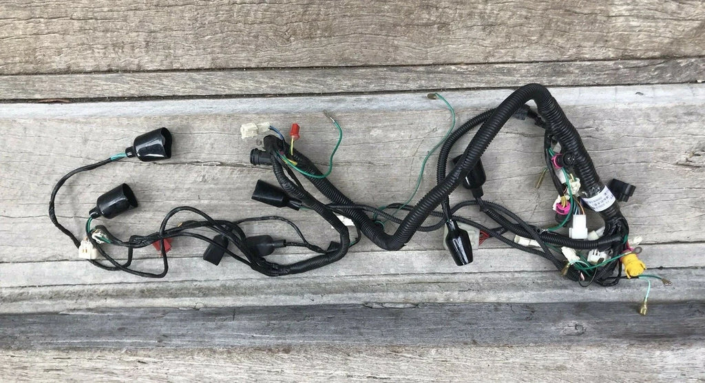 Atomik Krusher 300cc 2WD & 4WD Wiring Loom with round plug for regulator