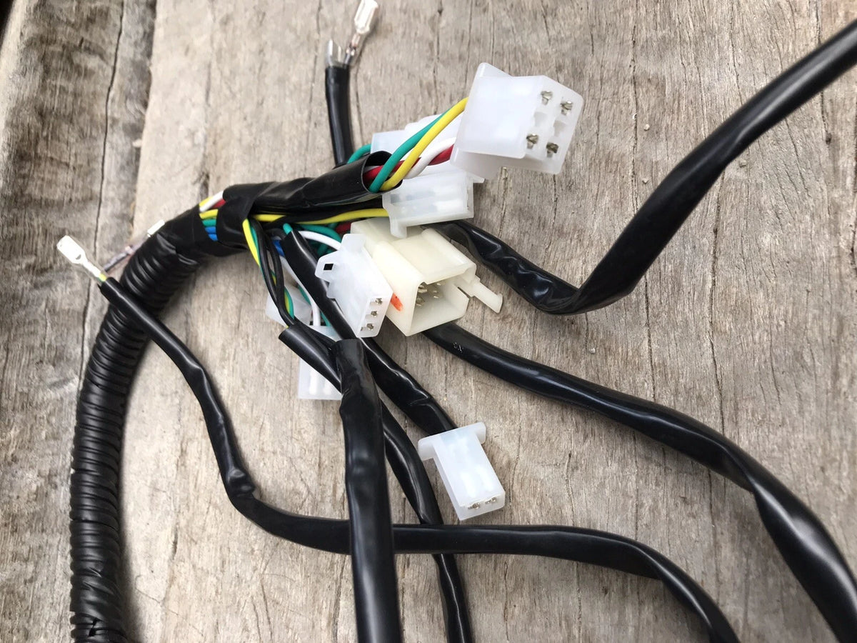 Atomik Feral 150cc Wiring Loom Harness