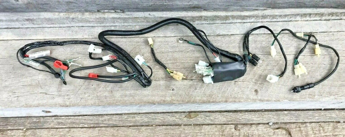 Atomik Krusher 250cc Wiring Loom 307000-087