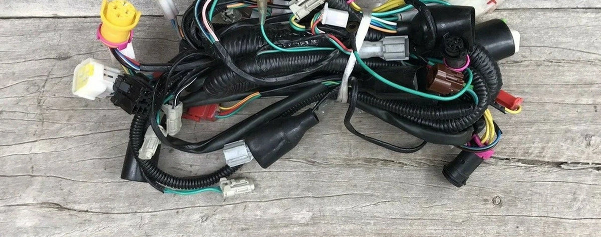 Atomik Krusher 300cc 2WD & 4WD Wiring Loom with round plug for regulator