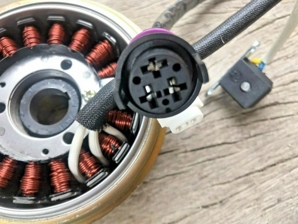 Atomik Krusher 300cc Magnetic Magneto Stator Coil Rotor 2.1.01.2060 2.1.01.2020