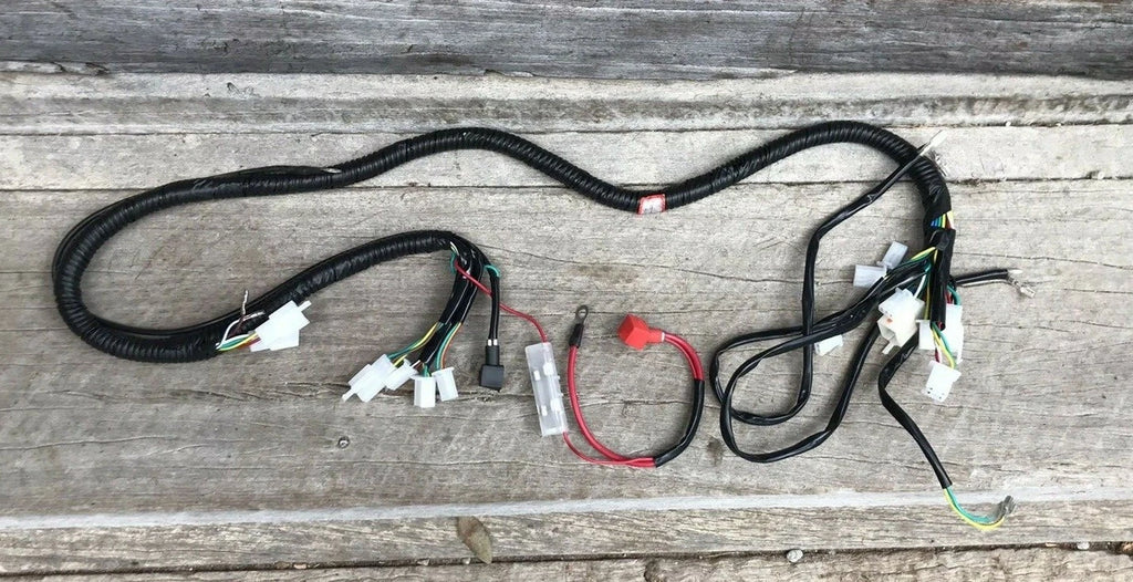 Atomik Feral 150cc Wiring Loom Harness