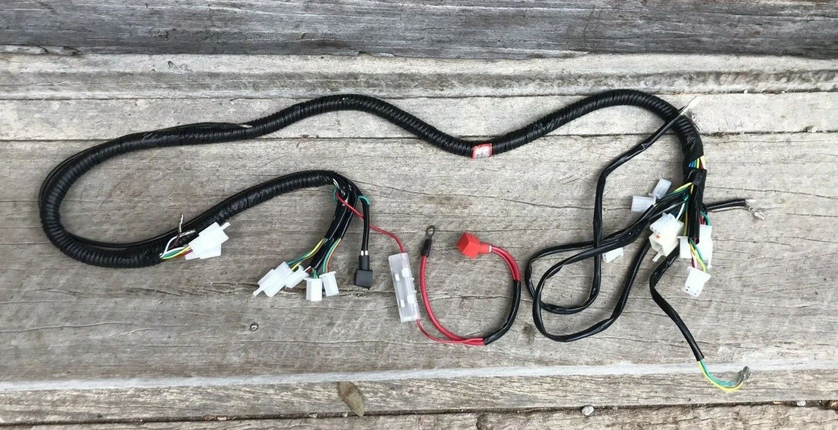 Atomik Feral 150cc Wiring Loom Harness
