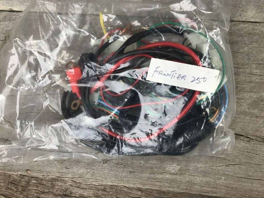 Atomik Frontier 250cc Wiring Loom Suits 2015 to 2016 AFrontier250