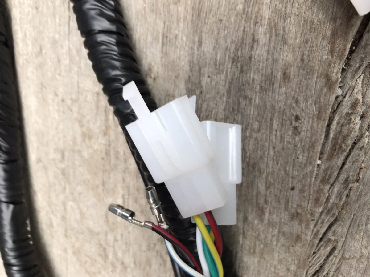 Atomik Feral 150cc Wiring Loom Harness