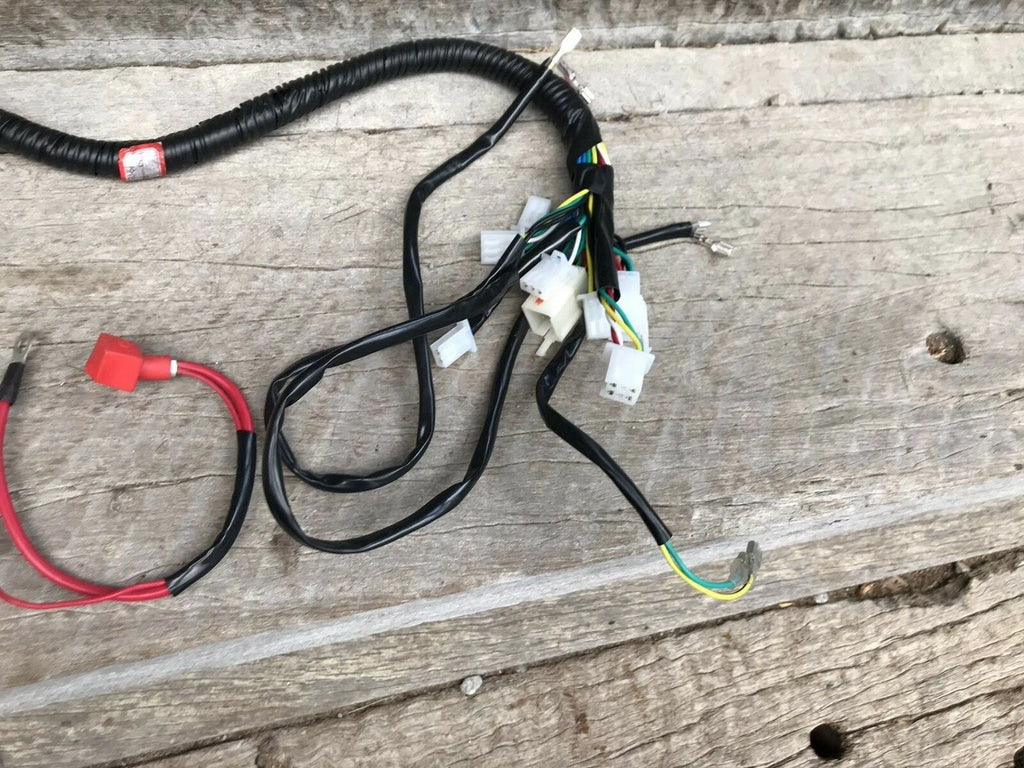 Atomik Feral 150cc Wiring Loom Harness