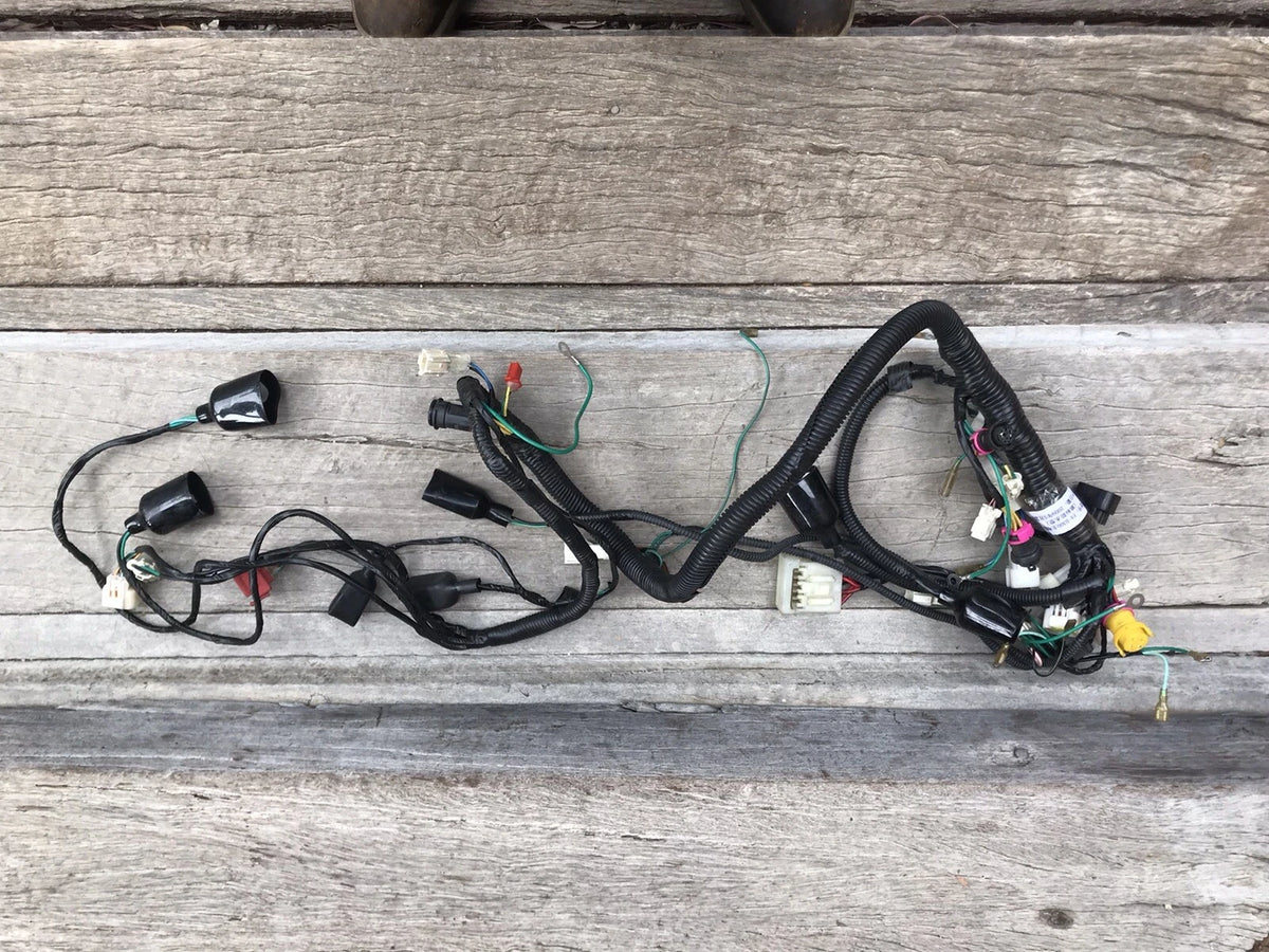 Atomik Krusher 300cc 2WD & 4WD Wiring Loom with round plug for regulator