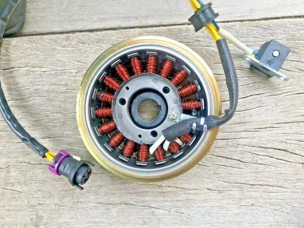 Atomik Krusher 300cc Magnetic Magneto Stator Coil Rotor 2.1.01.2060 2.1.01.2020