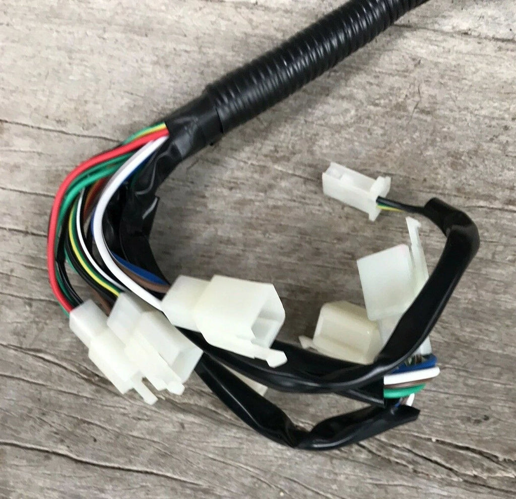 Atomik Skope 250cc Wiring Loom