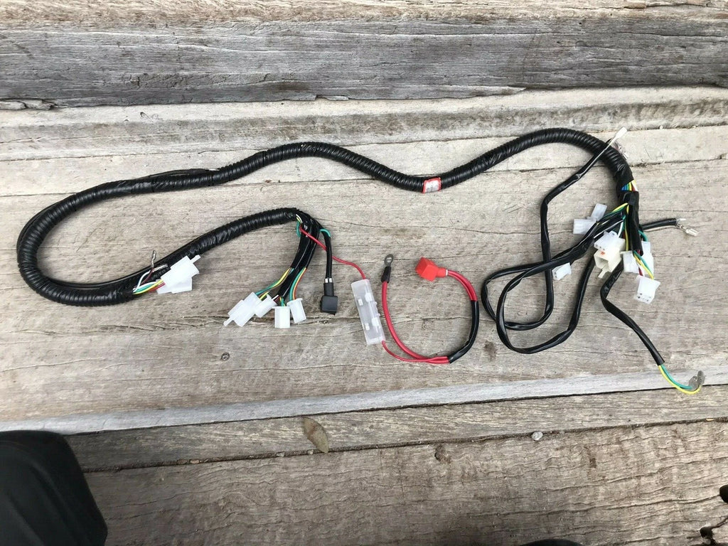 Atomik Feral 150cc Wiring Loom Harness