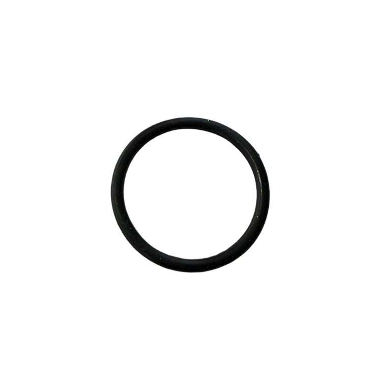 Surron Storm Bee Swingarm O-Ring